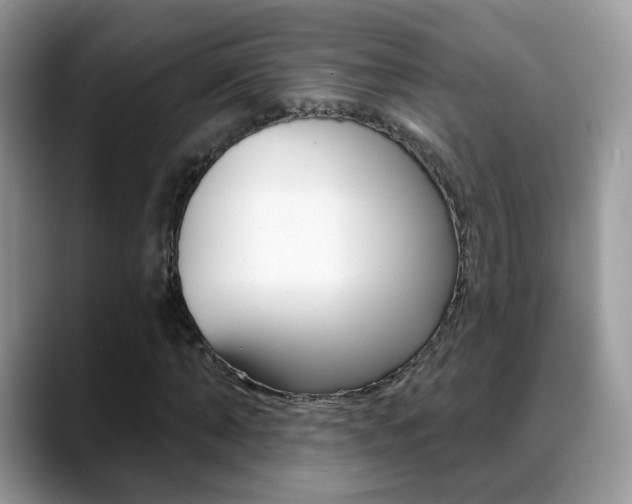X0000088880870200706080739