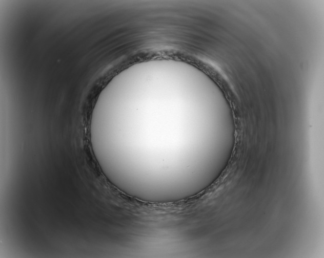 X0000088880871200706080739