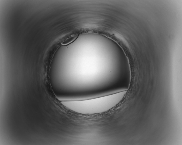 X0000088880872200706080739