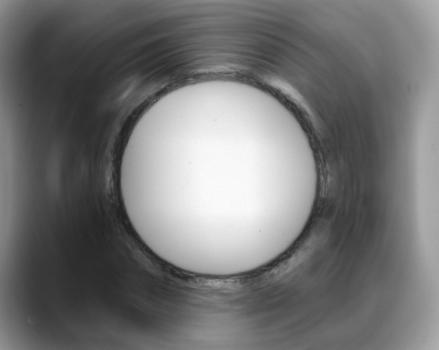 X0000088880874200706080739