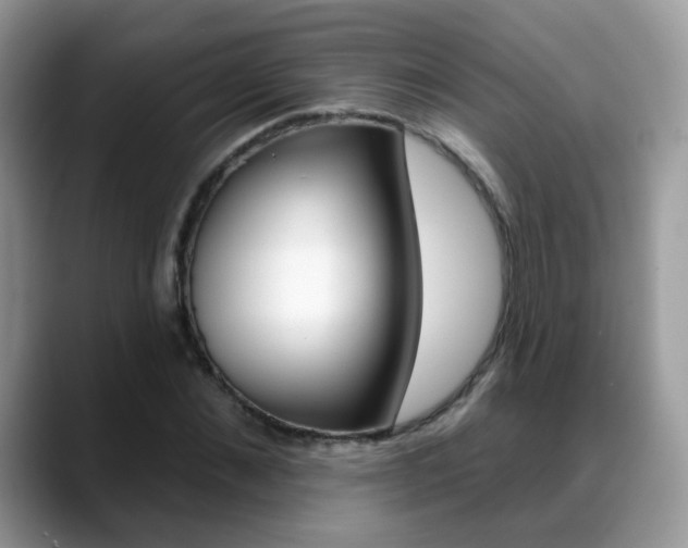 X0000088880876200706080739