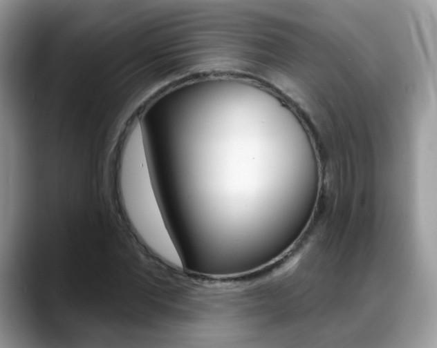 X0000088880877200706080739