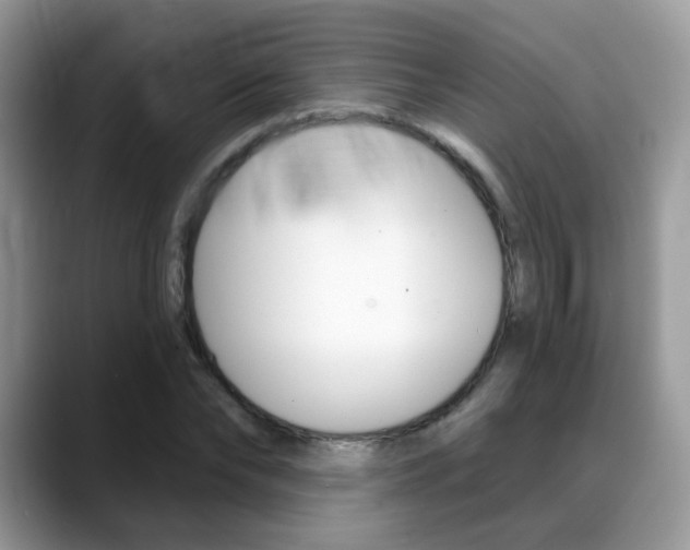 X0000088880878200706080739