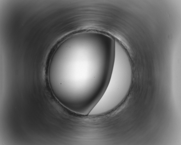 X0000088880880200706080739
