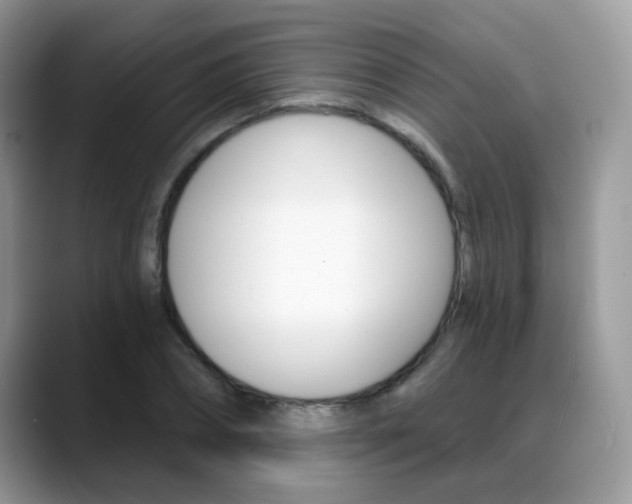X0000088880882200706080739