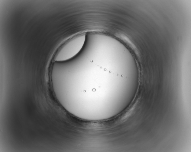 X0000088880883200706080739