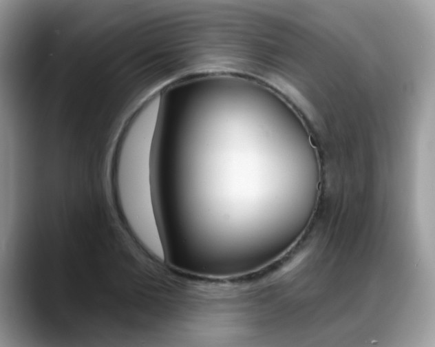 X0000088880885200706080739
