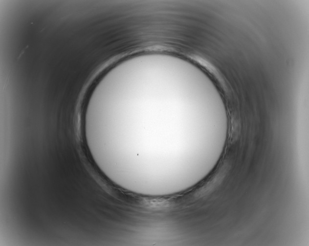 X0000088880886200706080739