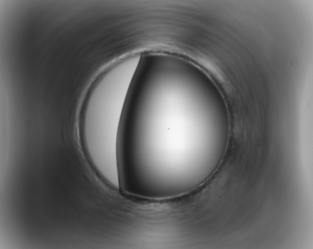 X0000088880888200706080739