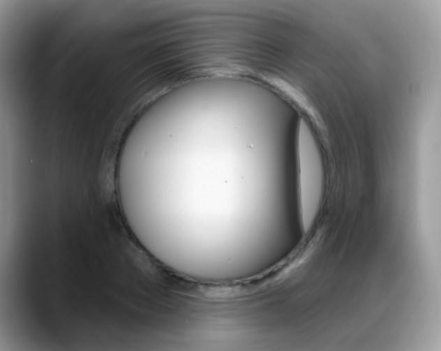 X0000088880889200706080739