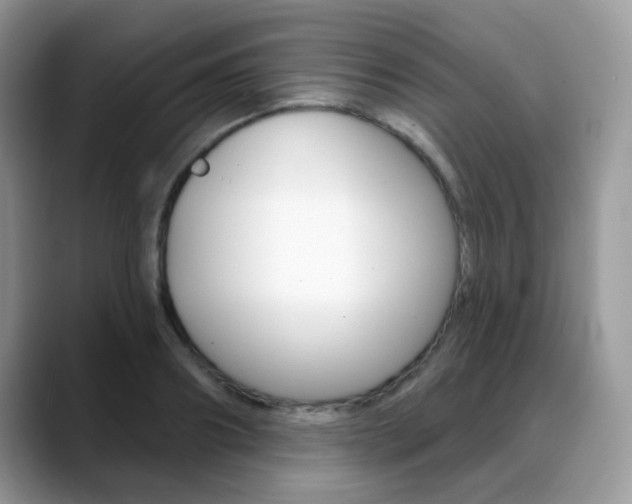 X0000088880890200706080739