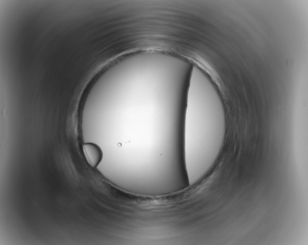 X0000088880891200706080739