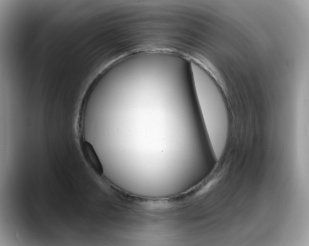 X0000088880893200706080739