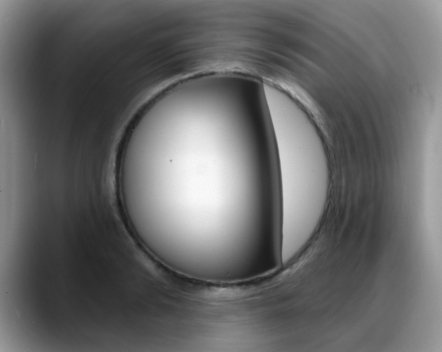 X0000088880894200706080739
