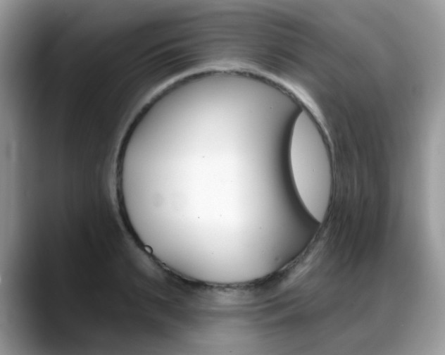 X0000088880895200706080739