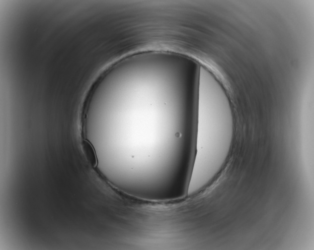 X0000088880896200706080739
