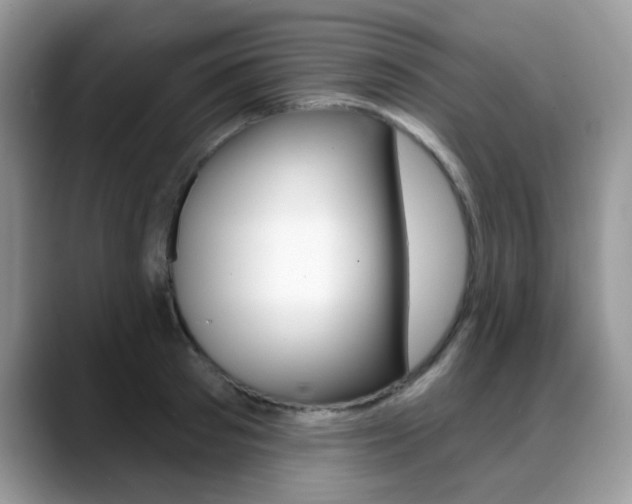 X0000088880897200706080739