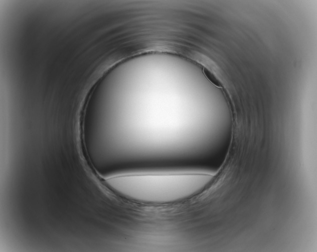 X0000088880898200706080738