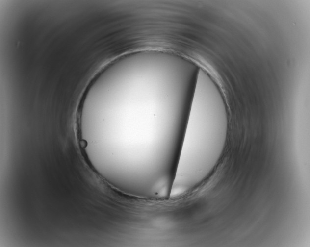 X0000088880899200706080738