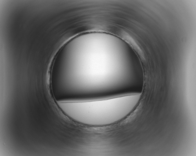 X0000088880900200706080738