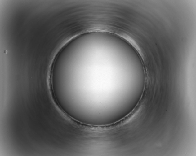 X0000088880901200706080738