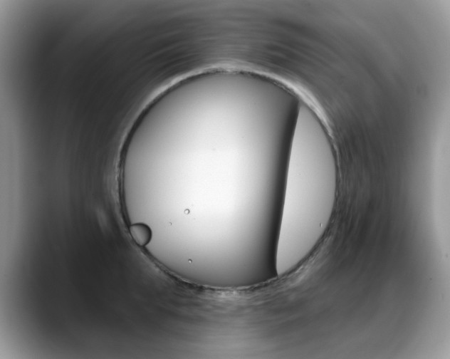 X0000088880903200706080738