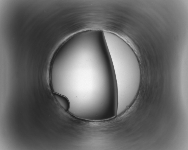 X0000088880904200706080738