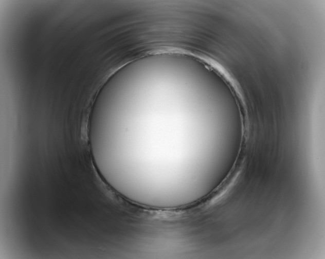 X0000088880905200706080738