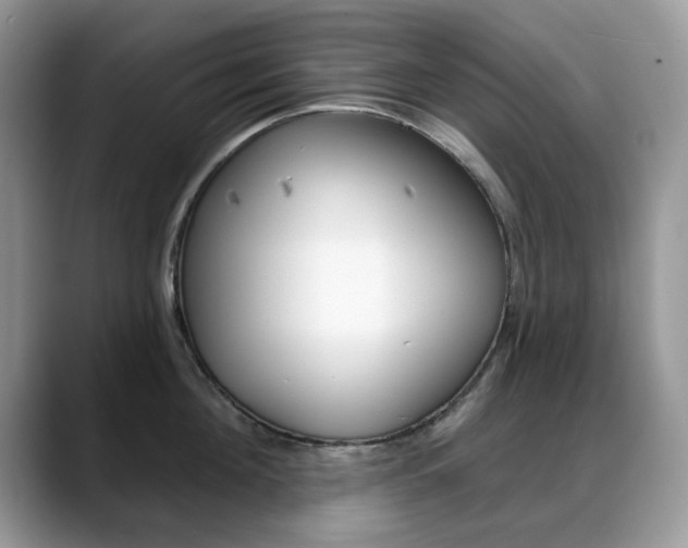 X0000088880908200706080738