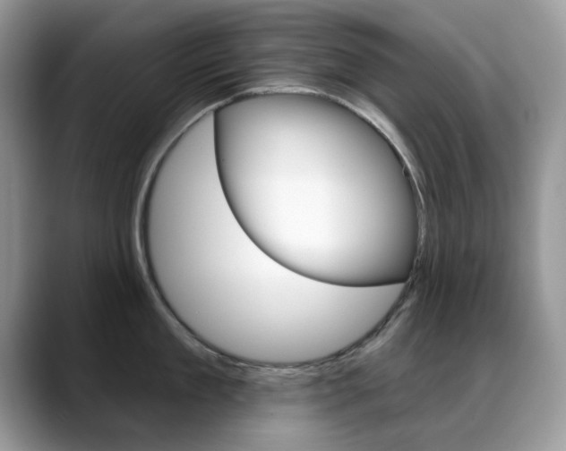 X0000088880909200706080738