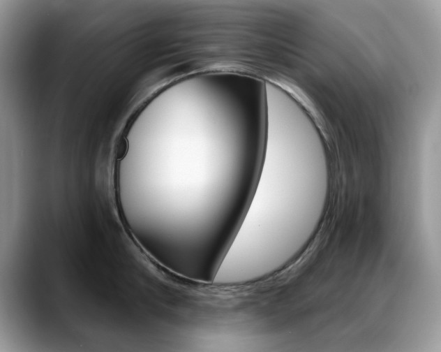 X0000088880910200706080738
