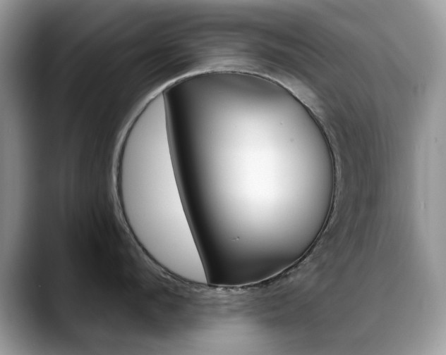 X0000088880912200706080738