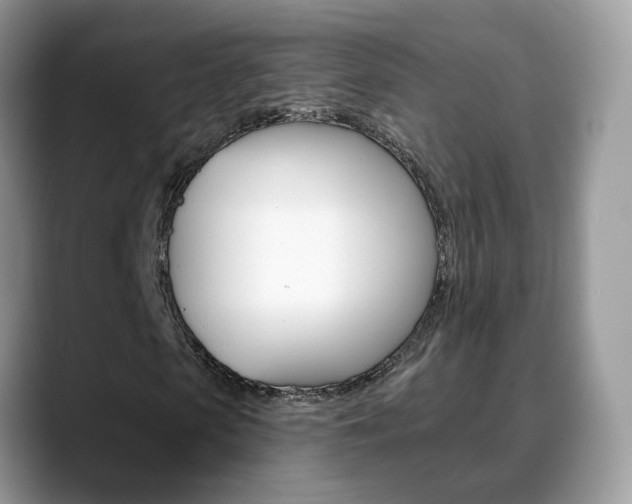 X0000088880913200706080738