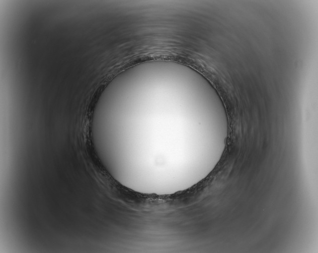 X0000088880914200706080738