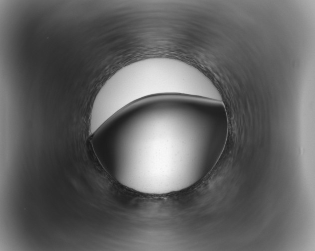 X0000088880916200706080738