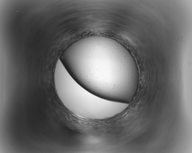 X0000088880917200706080738