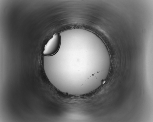 X0000088880918200706080738