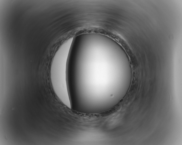 X0000088880919200706080738