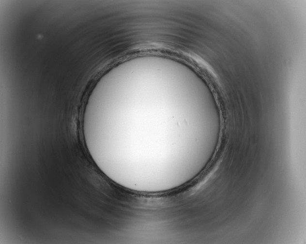 X0000088880921200706080738