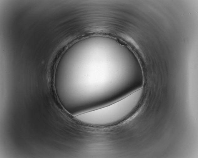 X0000088880922200706080738