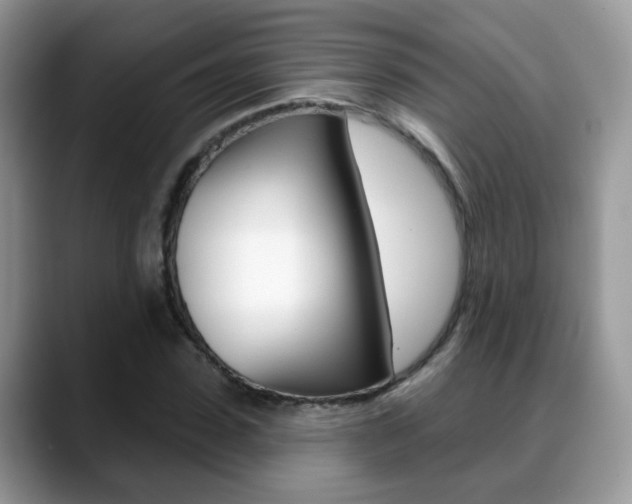 X0000088880923200706080738