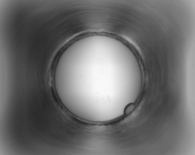 X0000088880925200706080738
