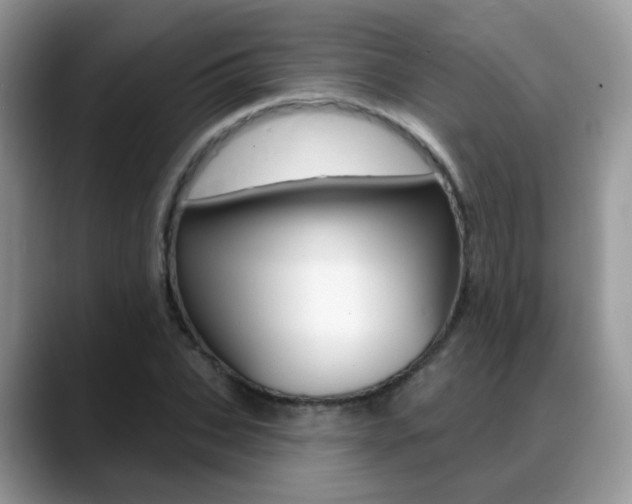 X0000088880927200706080738