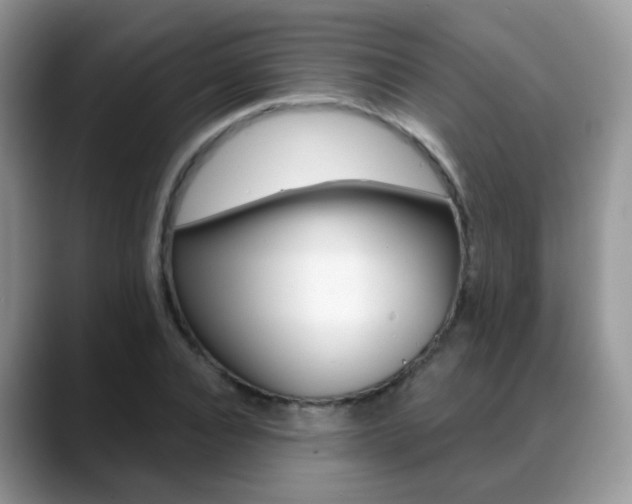 X0000088880928200706080738