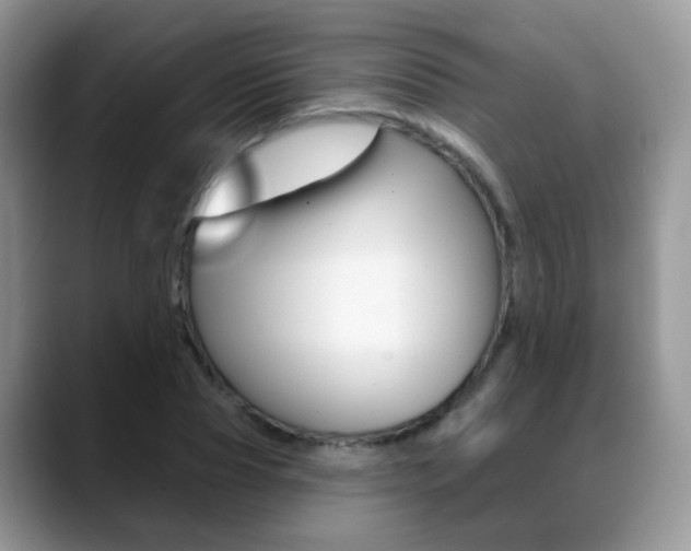 X0000088880929200706080738
