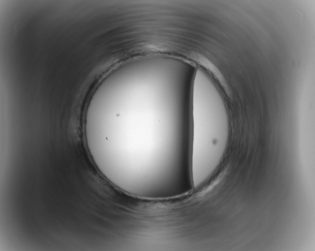 X0000088880930200706080738