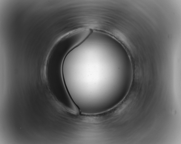 X0000088880932200706080738