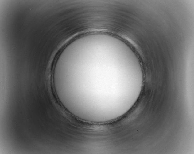 X0000088880933200706080738