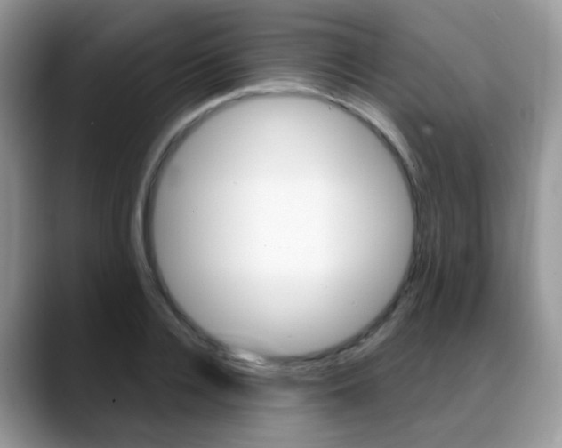 X0000088880936200706080738