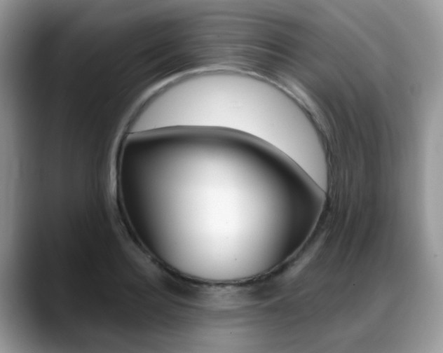 X0000088880940200706080738